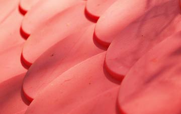 Pippacott plastic roof costs